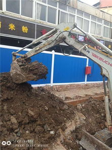 工程小挖機(jī)啄木鳥(niǎo)出租 桂鼎機(jī)械租賃 推薦商家