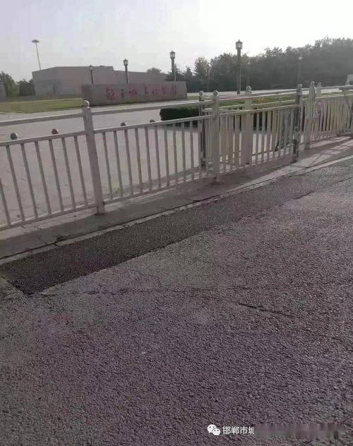 市政工程管理處全力推進(jìn)市政道路設(shè)施精細(xì)化養(yǎng)護(hù)